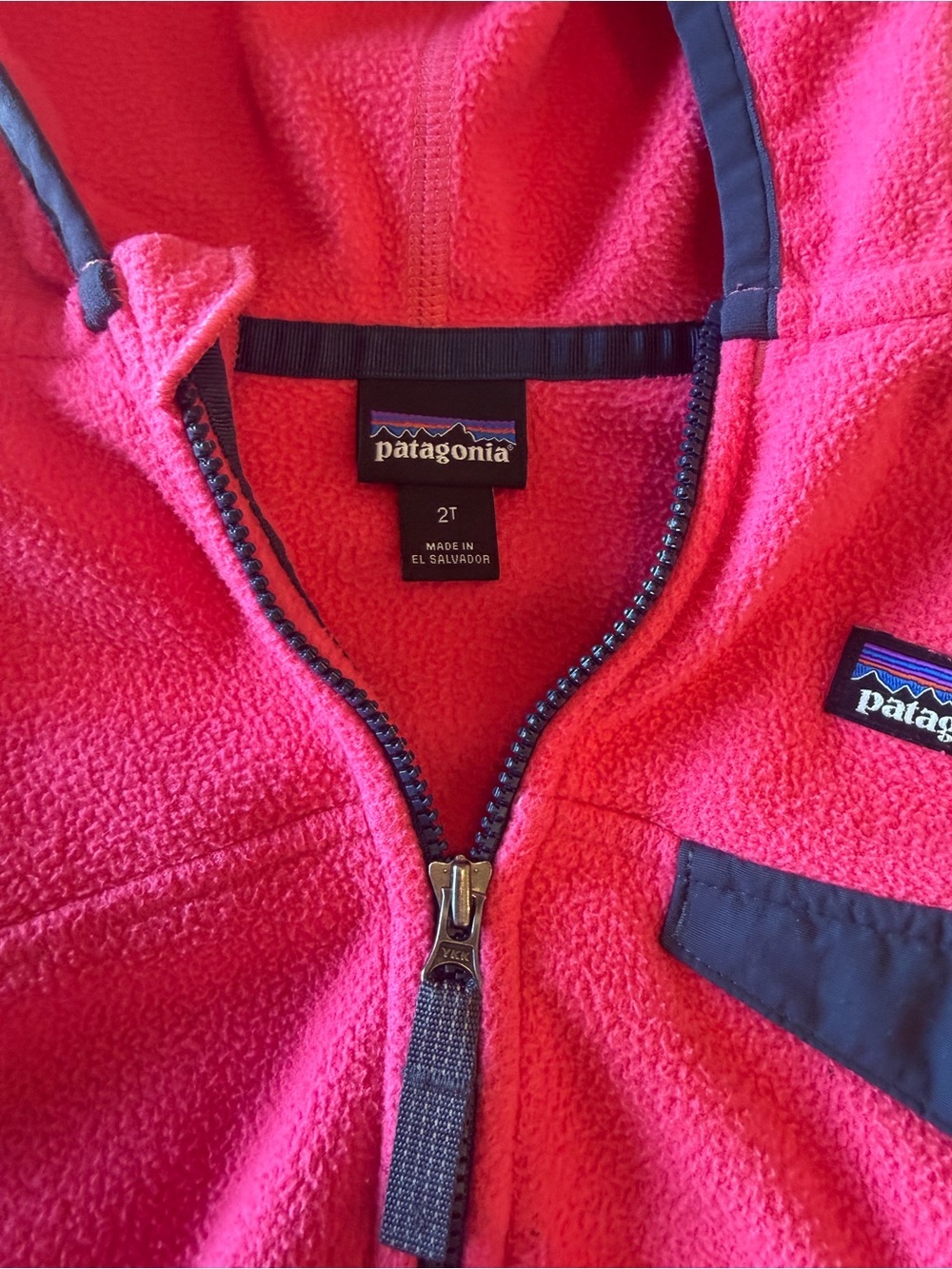 EUC Patagonia Baby Micro D Snap-T Fleece Jacket 2T